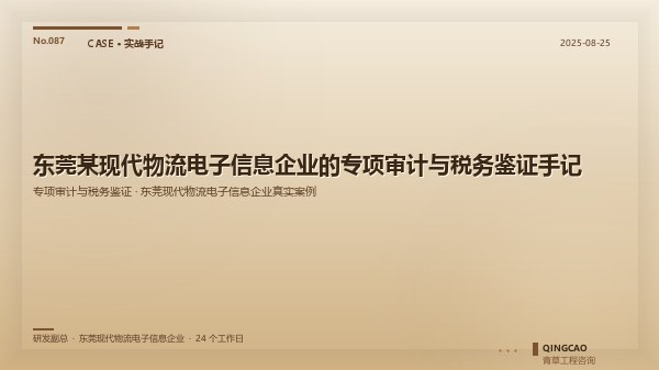 东莞某现代物流电子信息企业的专项审计与税务鉴证手记